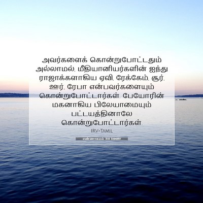 Picture 07 - எண்ணாகமம் 31:8 TAMIRV - அவர்களைக் - Bible Verse Picture