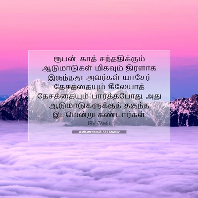Picture 07 - எண்ணாகமம் 32:1 TAMIRV - ரூபன், காத் - Bible Verse Picture