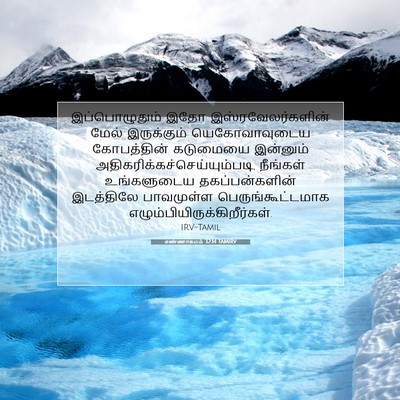 Picture 07 - எண்ணாகமம் 32:14 TAMIRV - இப்பொழுதும் இதோ - Bible Verse Picture