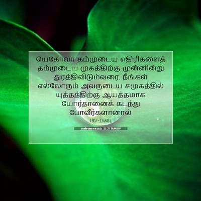 Picture 07 - எண்ணாகமம் 32:21 TAMIRV - யெகோவா தம்முடைய - Bible Verse Picture