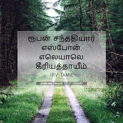 Picture 07 - எண்ணாகமம் 32:37 TAMIRV - ரூபன் சந்ததியார் - Bible Verse Picture