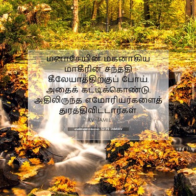 Picture 07 - எண்ணாகமம் 32:39 TAMIRV - மனாசேயின் மகனாகிய - Bible Verse Picture