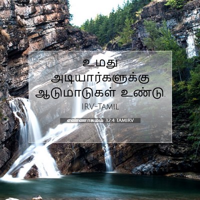 Picture 07 - எண்ணாகமம் 32:4 TAMIRV - உமது - Bible Verse Picture