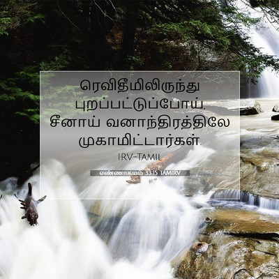 Picture 07 - எண்ணாகமம் 33:15 TAMIRV - ரெவிதீமிலிருந்து - Bible Verse Picture