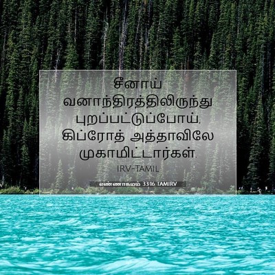 Picture 07 - எண்ணாகமம் 33:16 TAMIRV - சீனாய் - Bible Verse Picture