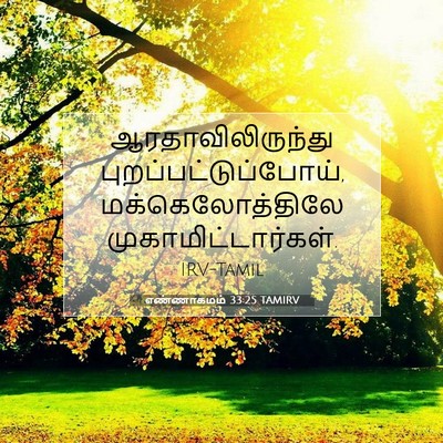 Picture 07 - எண்ணாகமம் 33:25 TAMIRV - ஆரதாவிலிருந்து - Bible Verse Picture