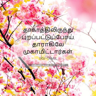Picture 07 - எண்ணாகமம் 33:27 TAMIRV - தாகாத்திலிருந்து - Bible Verse Picture