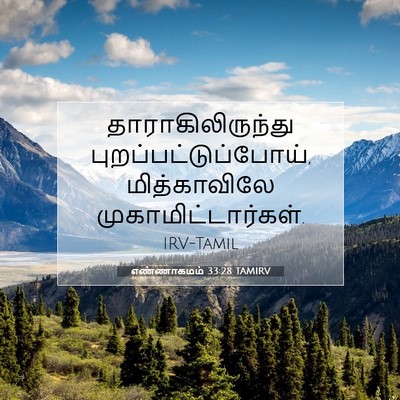 Picture 07 - எண்ணாகமம் 33:28 TAMIRV - தாராகிலிருந்து - Bible Verse Picture