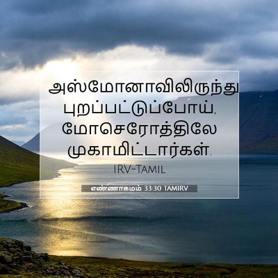 Picture 07 - எண்ணாகமம் 33:30 TAMIRV -  - Bible Verse Picture