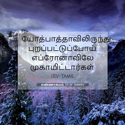 Picture 07 - எண்ணாகமம் 33:34 TAMIRV -  - Bible Verse Picture