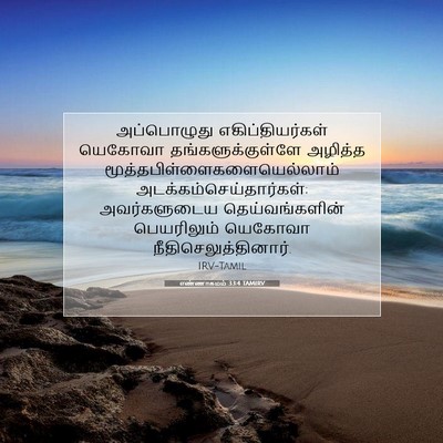 Picture 07 - எண்ணாகமம் 33:4 TAMIRV - அப்பொழுது - Bible Verse Picture