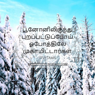 Picture 07 - எண்ணாகமம் 33:43 TAMIRV - பூனோனிலிருந்து - Bible Verse Picture