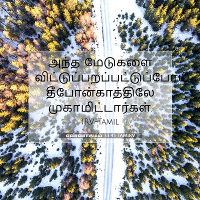 Picture 07 - எண்ணாகமம் 33:45 TAMIRV - அந்த மேடுகளை - Bible Verse Picture