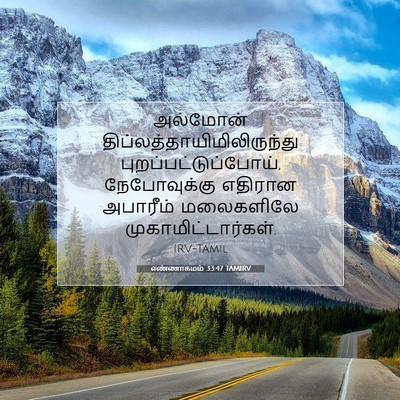Picture 07 - எண்ணாகமம் 33:47 TAMIRV - அல்மோன் - Bible Verse Picture