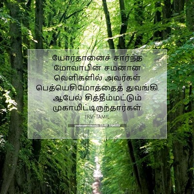Picture 07 - எண்ணாகமம் 33:49 TAMIRV - யோர்தானைச் - Bible Verse Picture