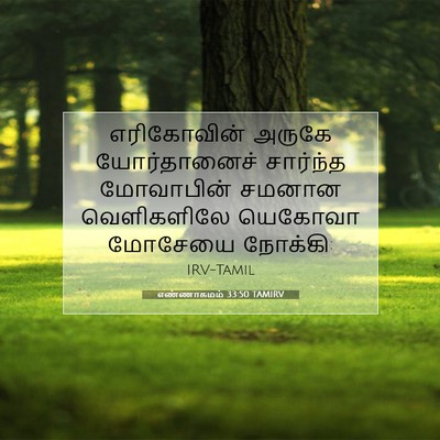 Picture 07 - எண்ணாகமம் 33:50 TAMIRV - எரிகோவின் அருகே - Bible Verse Picture