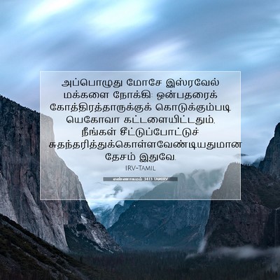 Picture 07 - எண்ணாகமம் 34:13 TAMIRV - அப்பொழுது மோசே - Bible Verse Picture