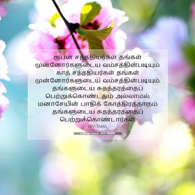 Picture 07 - எண்ணாகமம் 34:14 TAMIRV - ரூபன் - Bible Verse Picture