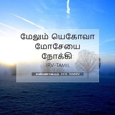 Picture 07 - எண்ணாகமம் 34:16 TAMIRV - மேலும் யெகோவா - Bible Verse Picture