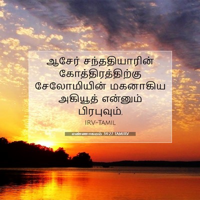 Picture 07 - எண்ணாகமம் 34:27 TAMIRV - ஆசேர் - Bible Verse Picture