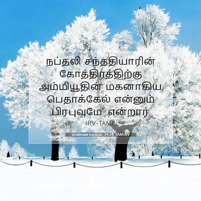 Picture 07 - எண்ணாகமம் 34:28 TAMIRV - நப்தலி - Bible Verse Picture