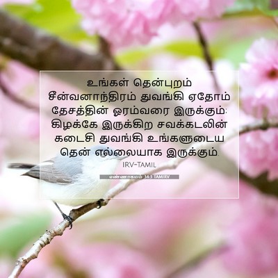 Picture 07 - எண்ணாகமம் 34:3 TAMIRV - உங்கள் தென்புறம் - Bible Verse Picture