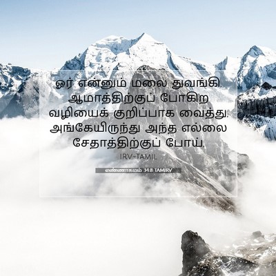 Picture 07 - எண்ணாகமம் 34:8 TAMIRV - ஓர் என்னும் மலை - Bible Verse Picture