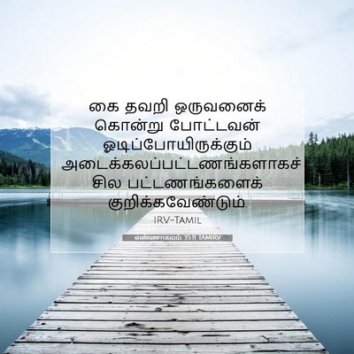 Picture 07 - எண்ணாகமம் 35:11 TAMIRV - கை தவறி ஒருவனைக் - Bible Verse Picture