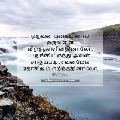 Picture 07 - எண்ணாகமம் 35:20 TAMIRV - ஒருவன் பகையினால் - Bible Verse Picture