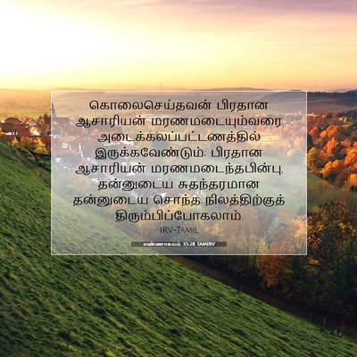 Picture 07 - எண்ணாகமம் 35:28 TAMIRV - கொலைசெய்தவன் - Bible Verse Picture