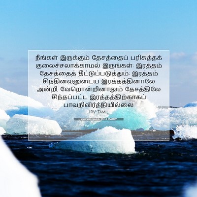 Picture 07 - எண்ணாகமம் 35:33 TAMIRV - நீங்கள் இருக்கும் - Bible Verse Picture