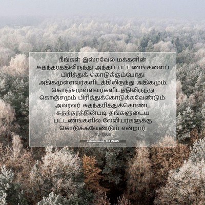 Picture 07 - எண்ணாகமம் 35:8 TAMIRV - நீங்கள் இஸ்ரவேல் - Bible Verse Picture
