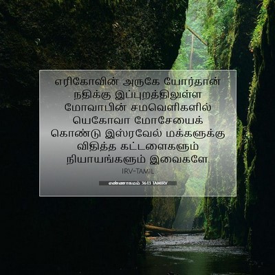 Picture 07 - எண்ணாகமம் 36:13 TAMIRV - எரிகோவின் அருகே - Bible Verse Picture