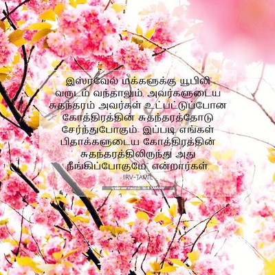Picture 07 - எண்ணாகமம் 36:4 TAMIRV - இஸ்ரவேல் - Bible Verse Picture