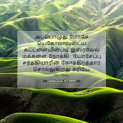 Picture 07 - எண்ணாகமம் 36:5 TAMIRV - அப்பொழுது மோசே - Bible Verse Picture