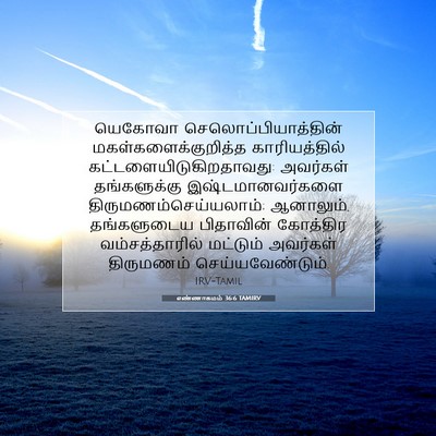 Picture 07 - எண்ணாகமம் 36:6 TAMIRV - யெகோவா - Bible Verse Picture