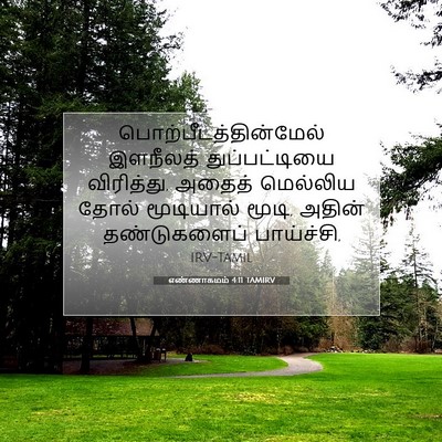 Picture 07 - எண்ணாகமம் 4:11 TAMIRV -  - Bible Verse Picture