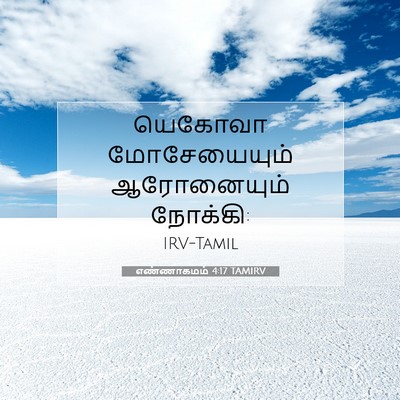 Picture 07 - எண்ணாகமம் 4:17 TAMIRV - யெகோவா மோசேயையும் - Bible Verse Picture