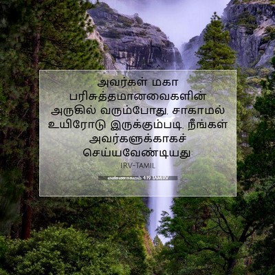 Picture 07 - எண்ணாகமம் 4:19 TAMIRV - அவர்கள் மகா - Bible Verse Picture