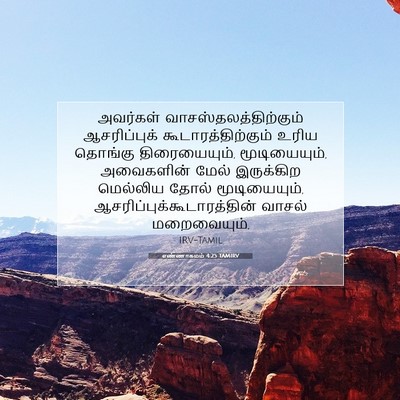 Picture 07 - எண்ணாகமம் 4:25 TAMIRV - அவர்கள் - Bible Verse Picture