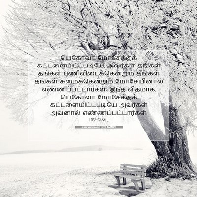 Picture 07 - எண்ணாகமம் 4:49 TAMIRV - யெகோவா மோசேக்குக் - Bible Verse Picture