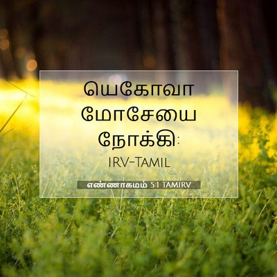 Picture 07 - எண்ணாகமம் 5:1 TAMIRV - யெகோவா மோசேயை - Bible Verse Picture