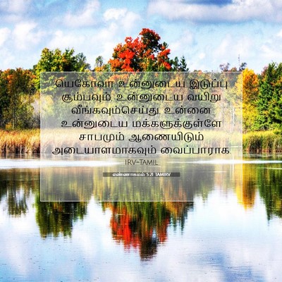 Picture 07 - எண்ணாகமம் 5:21 TAMIRV - யெகோவா உன்னுடைய - Bible Verse Picture
