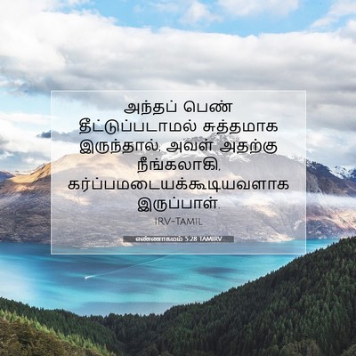 Picture 07 - எண்ணாகமம் 5:28 TAMIRV - அந்தப் பெண் - Bible Verse Picture