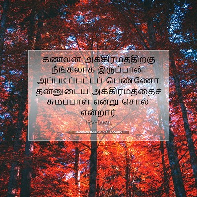 Picture 07 - எண்ணாகமம் 5:31 TAMIRV - கணவன் - Bible Verse Picture