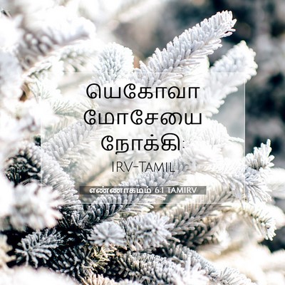 Picture 07 - எண்ணாகமம் 6:1 TAMIRV - யெகோவா மோசேயை - Bible Verse Picture