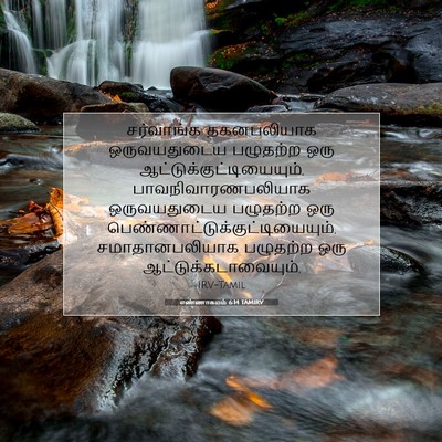 Picture 07 - எண்ணாகமம் 6:14 TAMIRV - சர்வாங்க - Bible Verse Picture