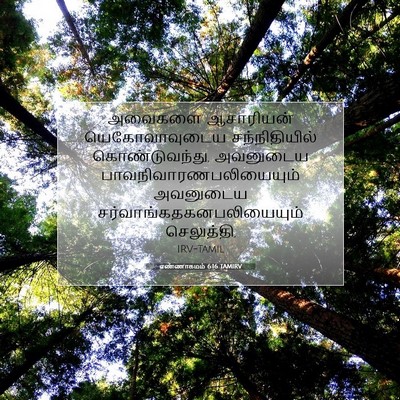 Picture 07 - எண்ணாகமம் 6:16 TAMIRV - அவைகளை ஆசாரியன் - Bible Verse Picture