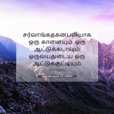Picture 07 - எண்ணாகமம் 7:15 TAMIRV -  - Bible Verse Picture