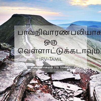 Picture 07 - எண்ணாகமம் 7:16 TAMIRV - பாவநிவாரணபலியாக - Bible Verse Picture